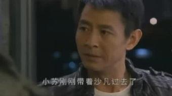 点金者全集在线观看,揭秘金融市场的传奇故事