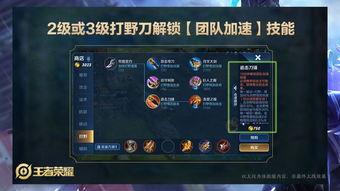 王者师叔爆料视频大全,揭秘游戏幕后精彩瞬间